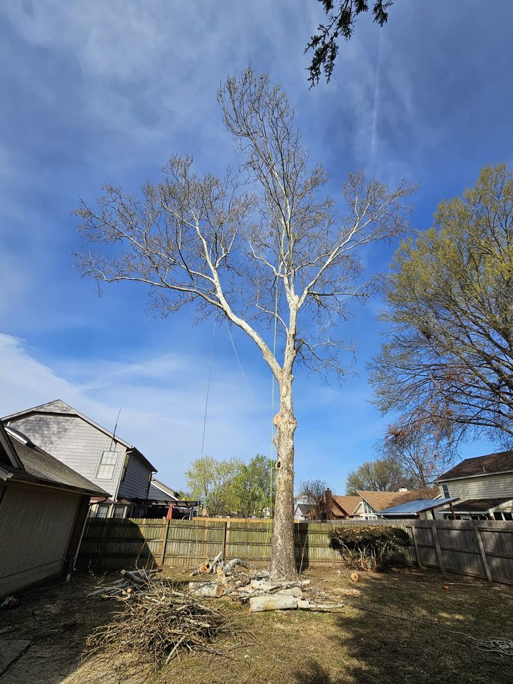 Happy Tree Service of Austin crew ready to serve your tree care needs