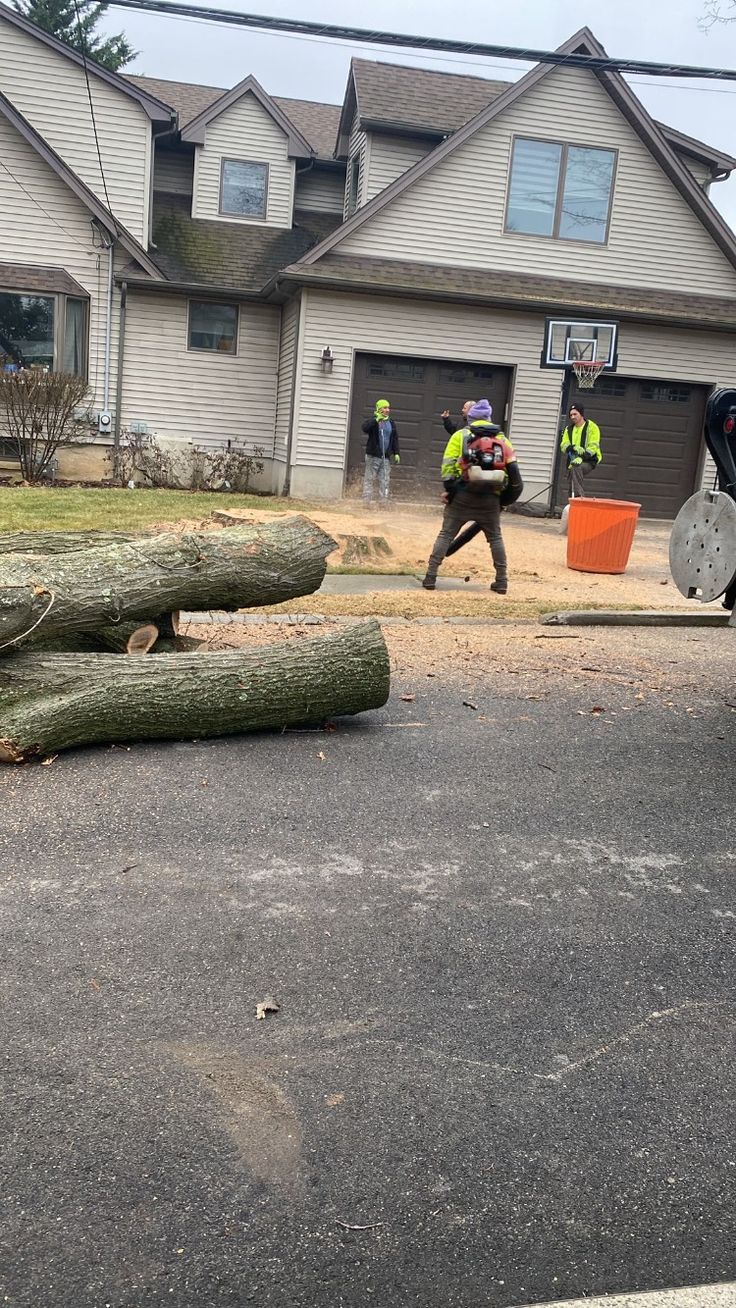 ISA Certified Arborist actively working in tree canopy in Austin